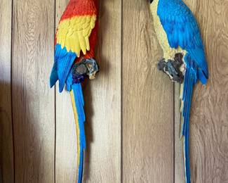 Pair of resin parrots