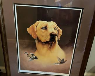 Golden retriever signed print