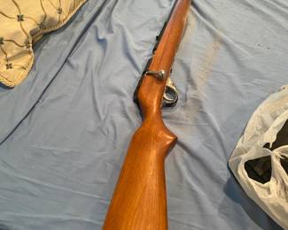 Sears .22 Rifle (some mold buildup) $ 90.00