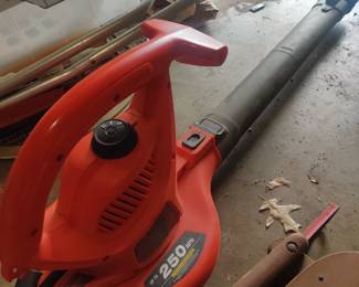 Leaf blower