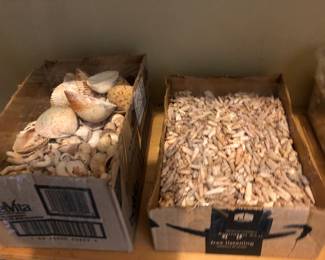 Boxes of Sea Shells