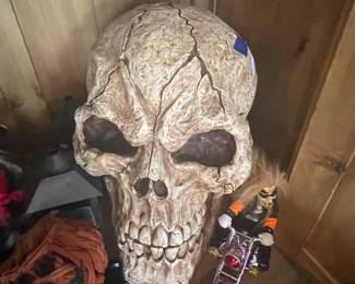 LARGE Skull