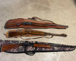 top is a 20 Ga 2 3/4" Remington Sportsman 48  (it's a shooter!!)             middle is a 22 Stevens Model 56                                                    bottom is a 12 Ga 2 3/4" Remington Model 1100
