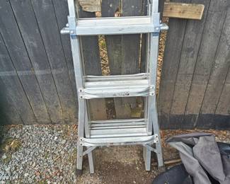 Folding ladder