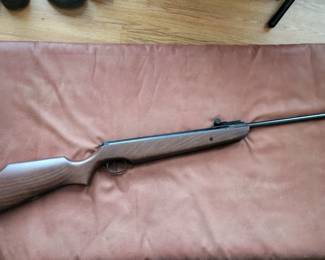 Ruger  cal pellet gun.