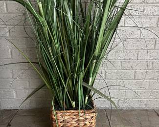 Reeds in a basket