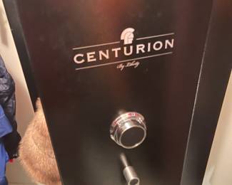 Centurion gun safe 