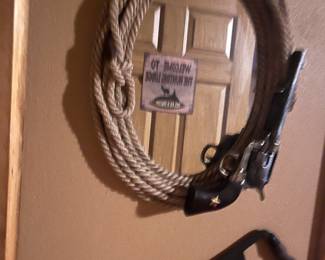 Framed mirror with rope and gun
