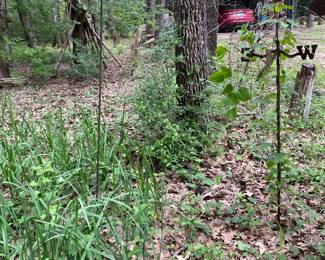 Weathervane & Yard Art