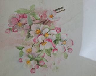 Original watercolor of apple blossoms 