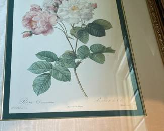 Pair of The Bombay Company Private Collection "Rosa Damascena."
