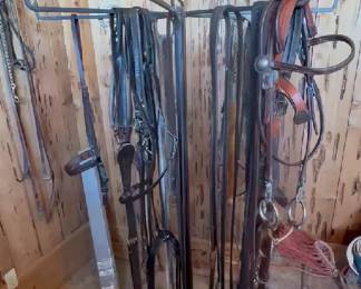 Large variety of tack