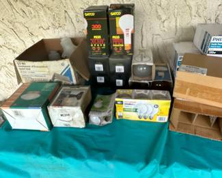 Various Light Bulbs