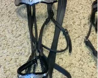 Romel Reigns and show halter