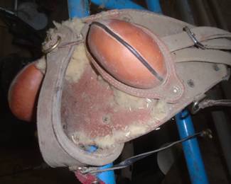 saddle