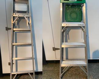 2 Aluminum Ladders 