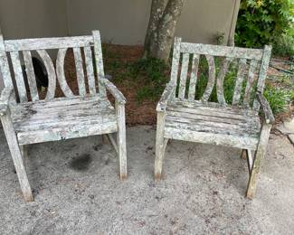 Teak Chairs with Moss Accents