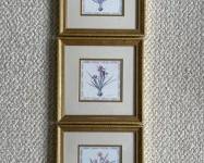 Three Framed Floral Art Prints