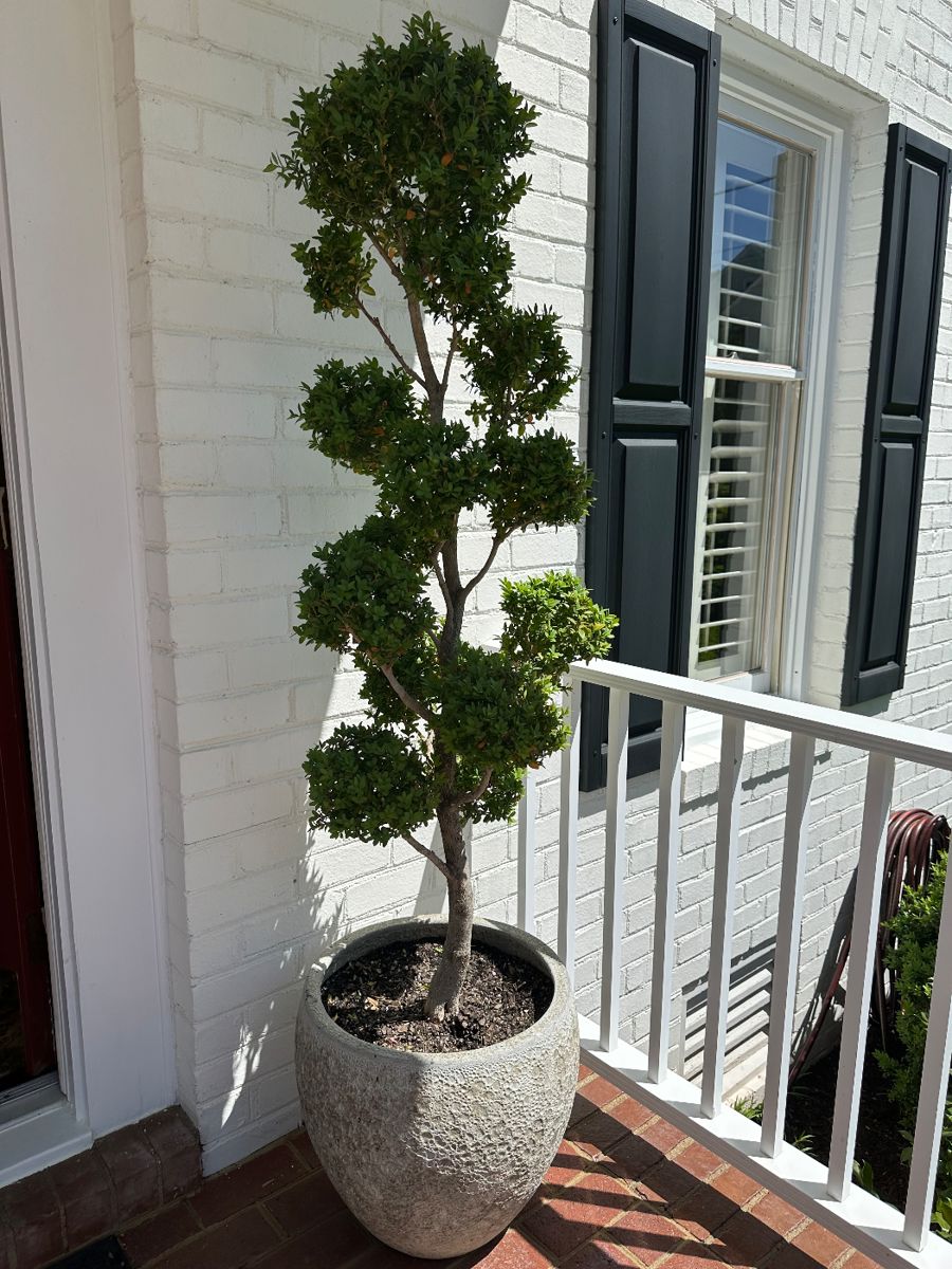 McHugh’s Three Chopt Road Estate Sale starts on 4/18/2024