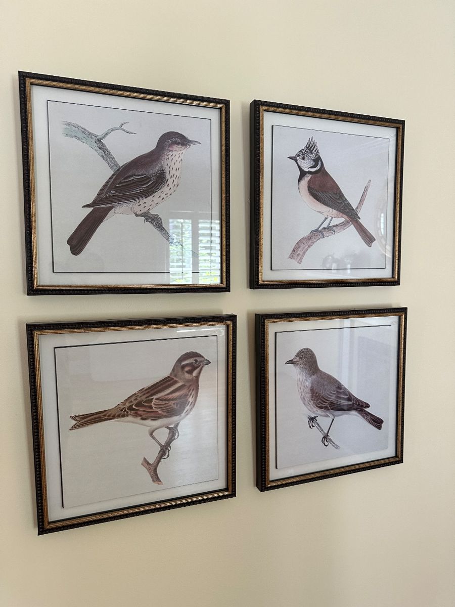 McHugh’s Three Chopt Road Estate Sale starts on 4/18/2024