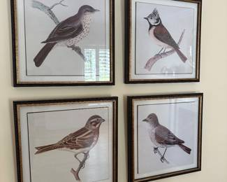 4 framed bird prints