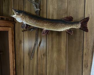 A great northern mount!!