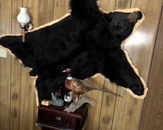 The the bear rug and the pheasant