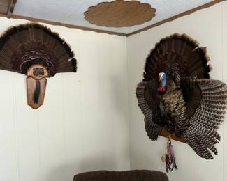 Trurkey on the left and right