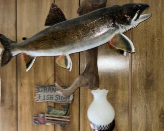 A great lake trout mount