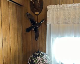 horns and a duck (((lamp is NOT for sale)))