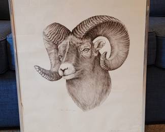 Gene Galasso: Big Horn Sheep Print 1871/3000