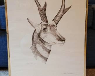 Gene Galasso: Pronghorn Antelope Print 1622/3000