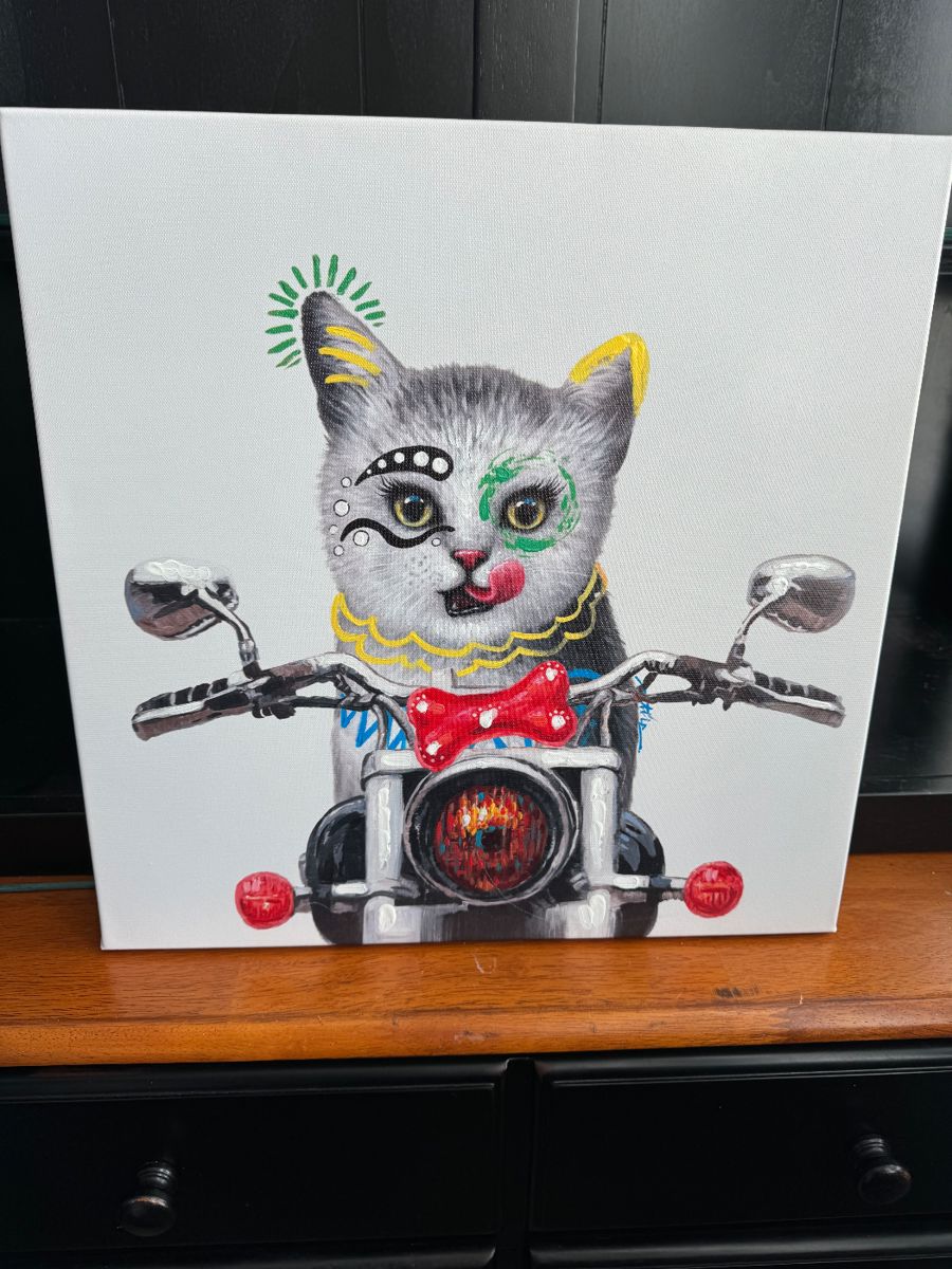 Biker cat picture