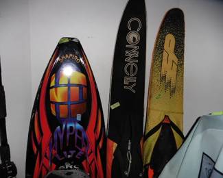 Ski & Surf Board