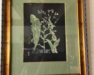 framed botanicals - pair