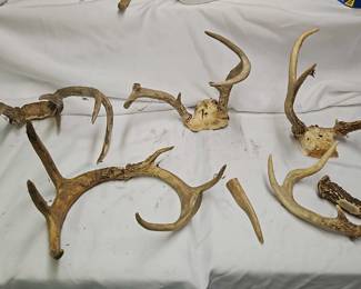 4 Sets Of Antlers 