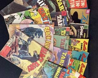 Variety Lot Of ComicsTarzan, Black Fury, Buster Brown And More