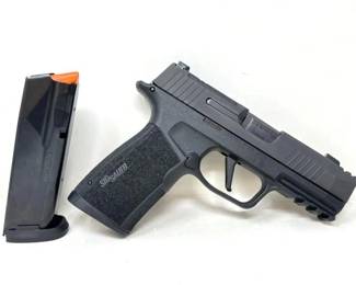 #702 • Sig Sauer P365 9mm Semi-Auto Pistol
