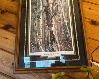 Cyndi Nelson , Downy Up a Tree , Downy Woodpecker , numbered and signed, 1987 