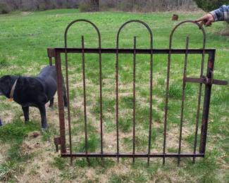 10 PIECES OF EARLY IRON FENCE INCLUDING THE GATE