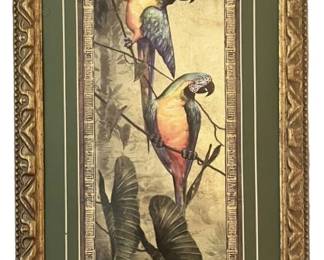 Parrot Framed Art