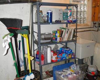 Basement, with cleaning supplies, and other fun notables.