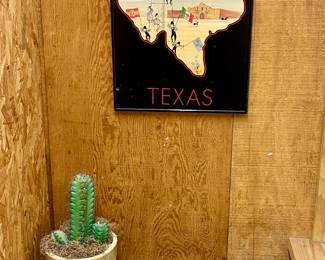 Framed Texas Map by Moss, Faux Cactus