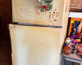 Garage refrigerator. Works just not pretty. Also have chest freezer that is not pretty but works great 