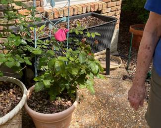 Pots and planters for outdoors