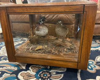 Coffee table with glass enclosed ducks