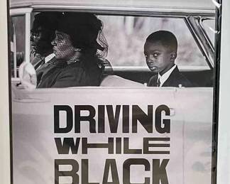 Driving While Black Race, Space and Mobility in America DVD