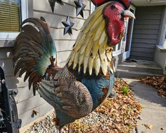 Meet Ron the rooster 