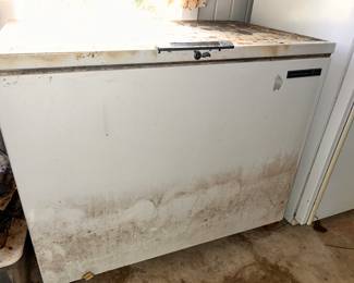 Large freezer, works very well!