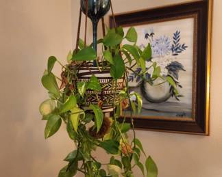 Hanging Plant